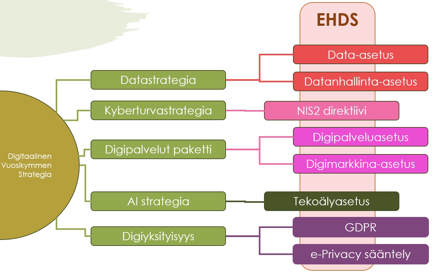 EHDS laajemmassa kontekstissa